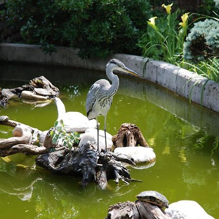 فندق Al Giardino Fanna المظهر الخارجي الصورة