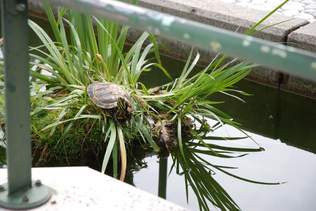 فندق Al Giardino Fanna المظهر الخارجي الصورة